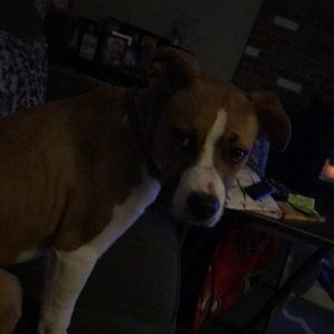 Meet your Posher, Jillian